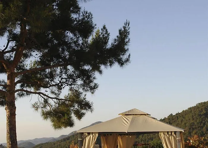 Hotel Demetriou Paradisos Hills 3*