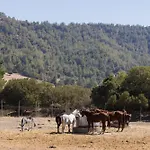 Demetriou Paradisos Hills Hotel 3*