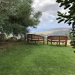 Demetriou Paradisos Hills 3* Lysos