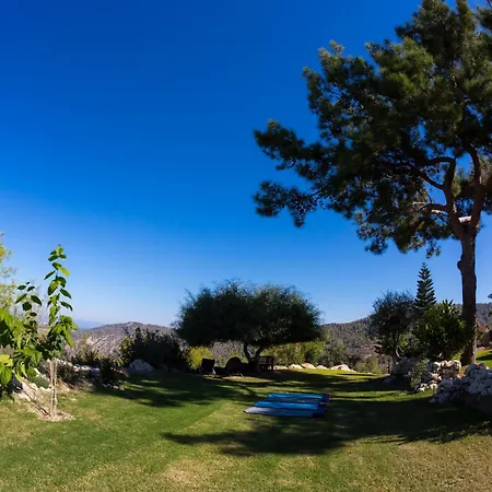 Demetriou Paradisos Hills 3* Lysos