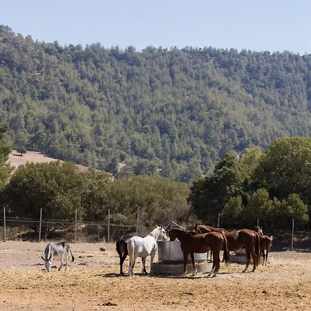 Demetriou Paradisos Hills فندق 3*