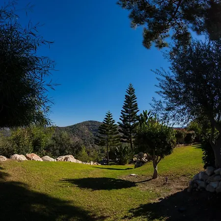 Demetriou Paradisos Hills Lysos