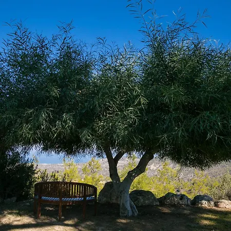 Demetriou Paradisos Hills 3* Lysos