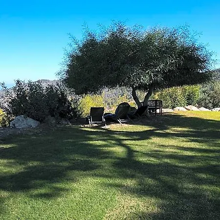 Demetriou Paradisos Hills Hotel Lysos