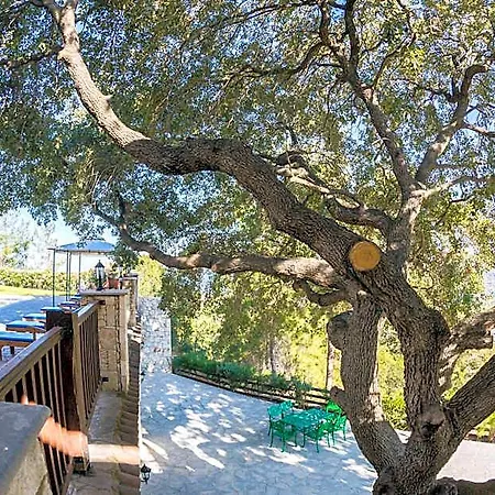 Demetriou Paradisos Hills Hotel 3*