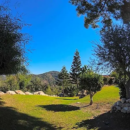Demetriou Paradisos Hills 3* Lysos