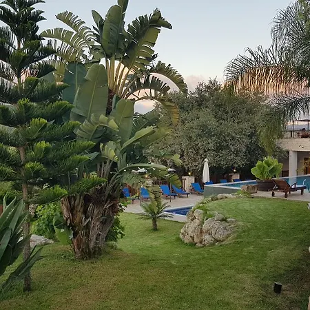 فندق Demetriou Paradisos Hills Lysos