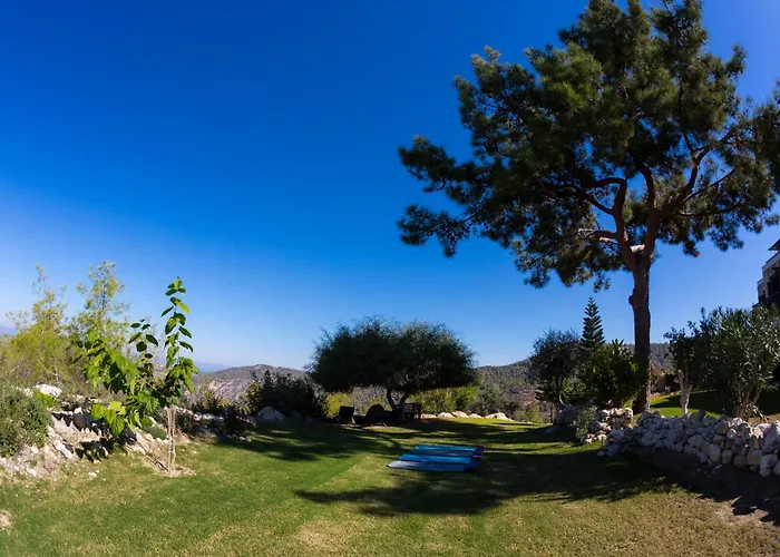 Demetriou Paradisos Hills 3* Lysos