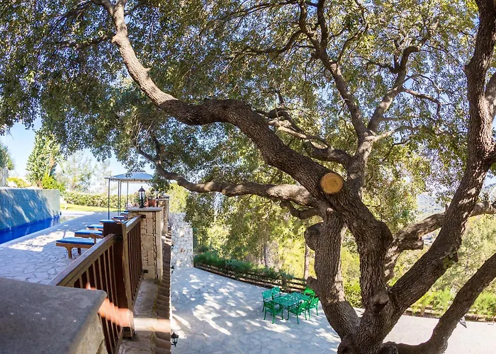 Demetriou Paradisos Hills Hotel Lysos