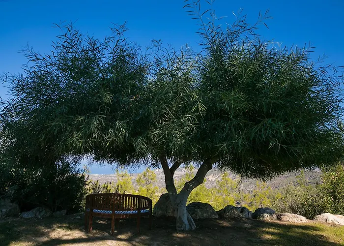 Demetriou Paradisos Hills 3* Lysos