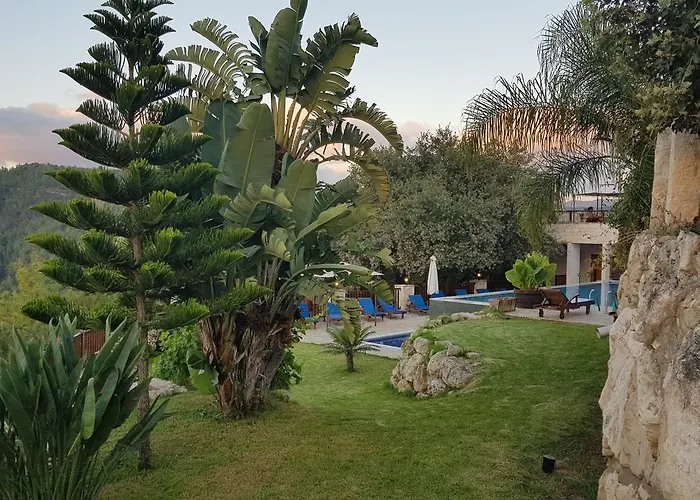 Hotel Demetriou Paradisos Hills Lysos